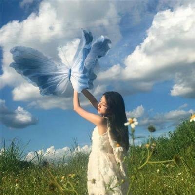 阿尔忒弥斯计划