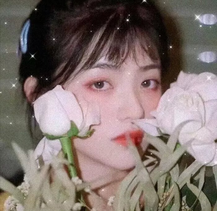 行尸之惧第五季